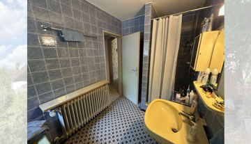 1020-MOSLOME-Schmal06.jpg
