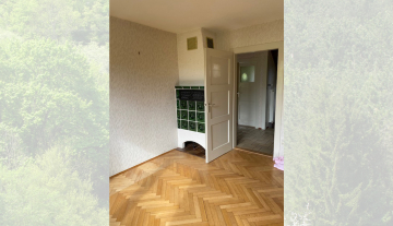 1020-MOSSCHR-Schmal-4.jpg