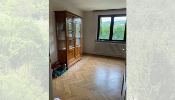 1020-MOSSCHR-Schmal-5.jpg