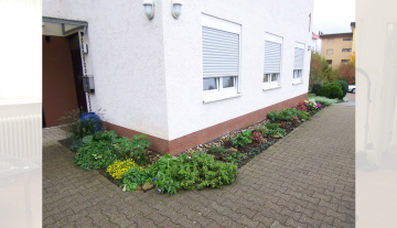 1240-10-ROOB-Schmal-5.jpg