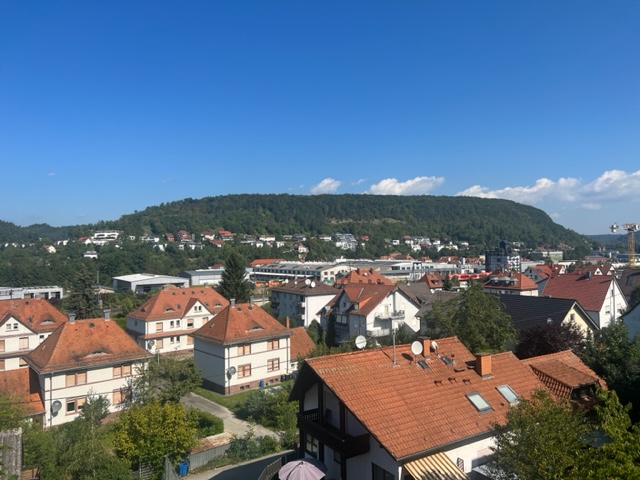 Mosbach - Das ist mal eine Aussicht - Einfamilienhaus mit Einliegerwohnung und Garage