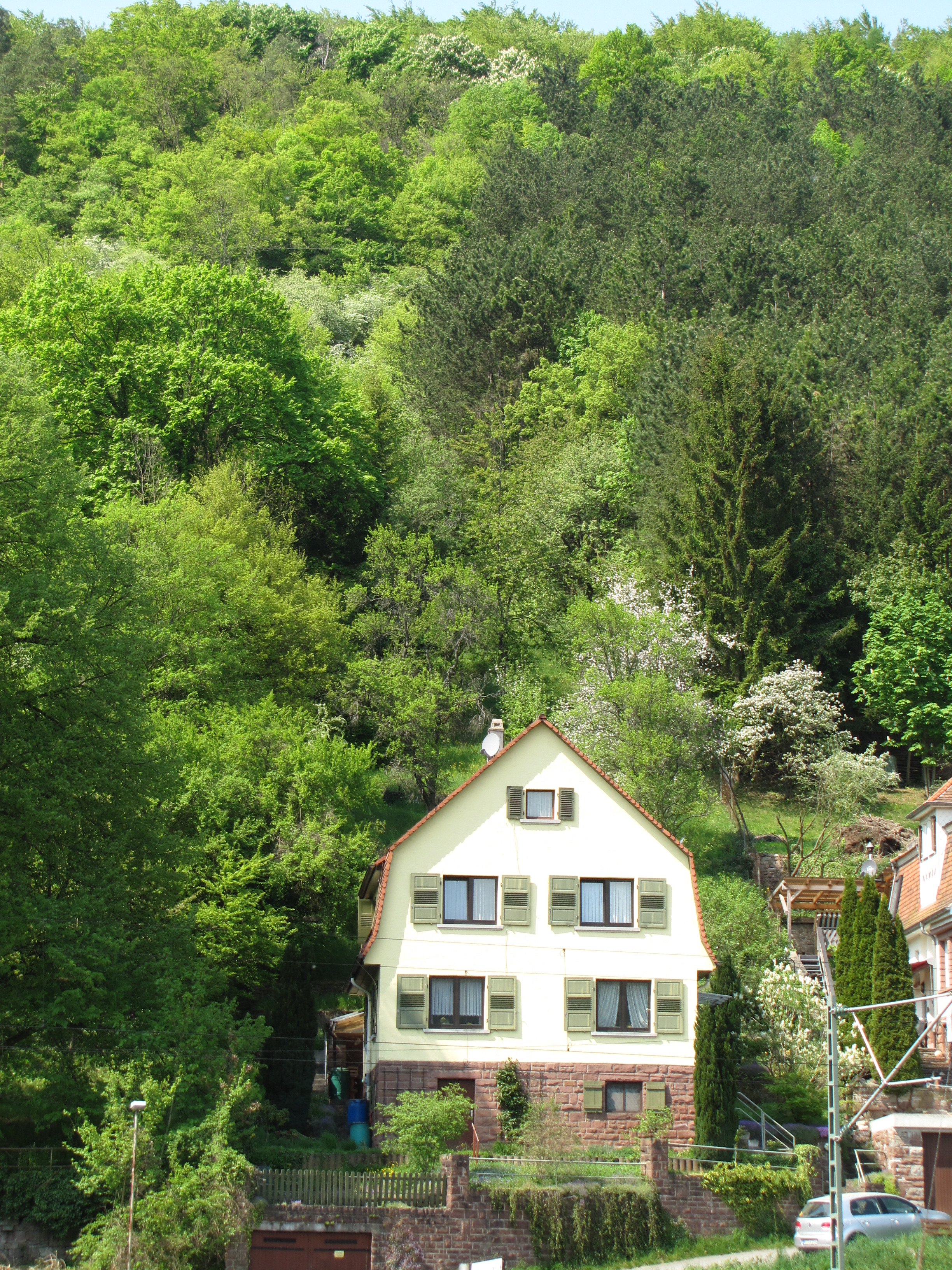 Mosbach - großzügiges Einfamilienhaus mit Charakter